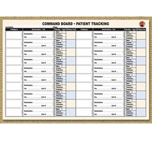 Command Board Patient Tracking Sheets from Disaster Management Systems