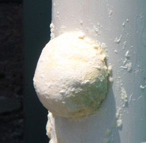 Syntho-Plug Golfball Activated Foam Leak Plug from Edwards and Cromwell